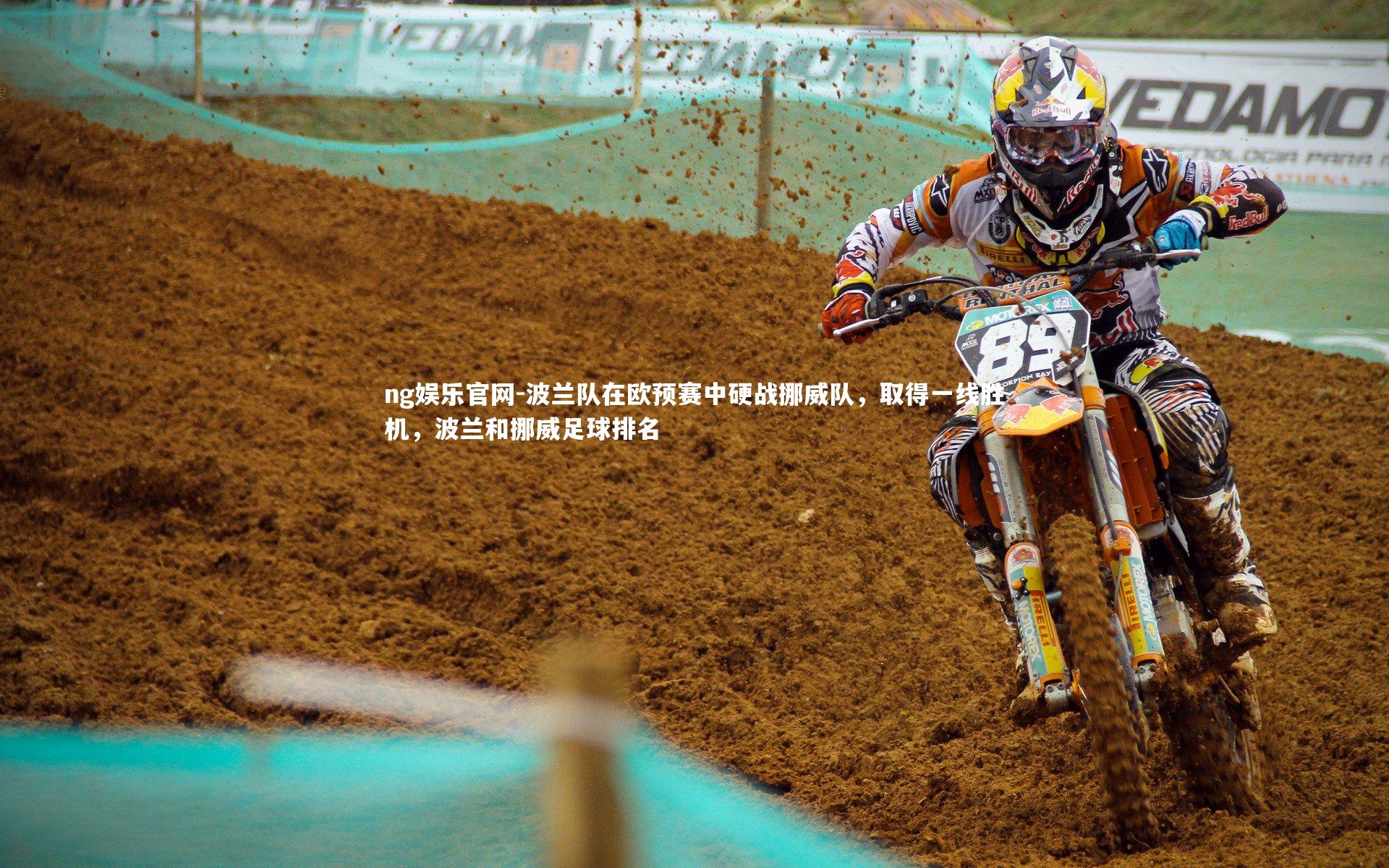 ng娱乐官网-波兰队在欧预赛中硬战挪威队，取得一线胜机，波兰和挪威足球排名
